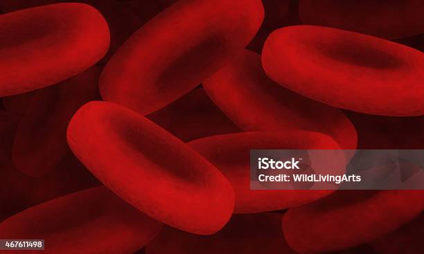 Red Blood Cells Stock Photo - Download Image Now - 2015, Animal Blood, Animal Hospital