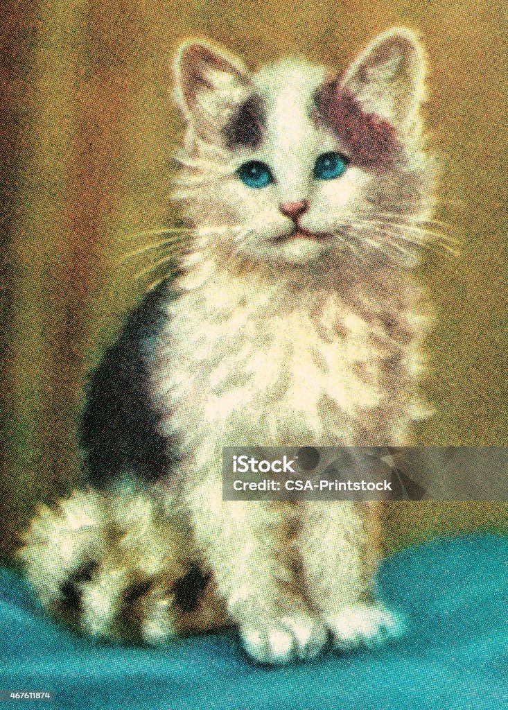 Csa Kitten Kitten Stock Illustration - Download Image Now - Domestic Cat, 2015 ...