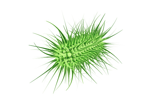 Ecoli bacterium - 3d rendered illustration