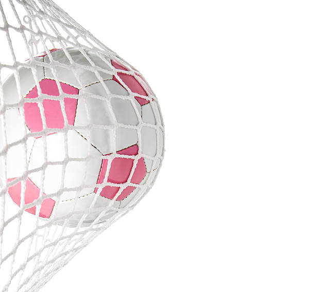 Goal--Pink Soccer Ball in Net