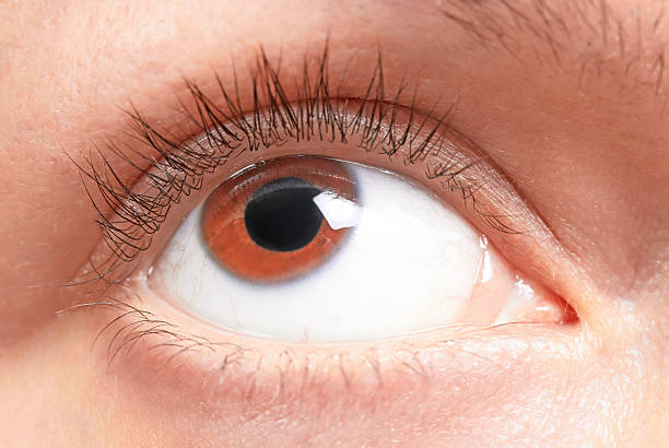 istock brown eyes girl 467617179