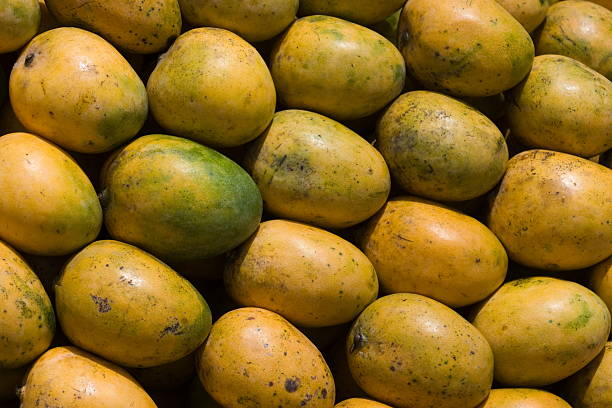 istock Bunch of mangoes. 467619623