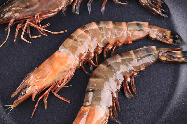 Tiger shrimps on black pan. Tiger shrimps on black pan. Whole background. black tiger shrimp stock pictures, royalty-free photos & images