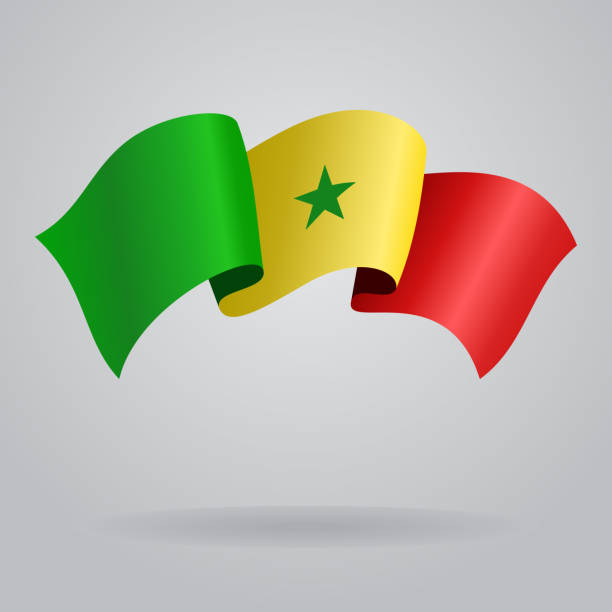 сенегала размахивающий лапами флаг. векторная иллюстрация - senegal africa vector illustration and painting stock illustrations