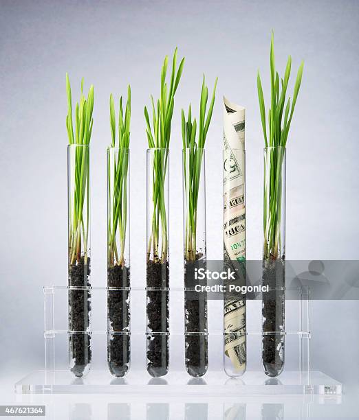 Genetically Modified Plants Costs Stock Photo - Download Image Now - 2015, Accuracy, Agriculture