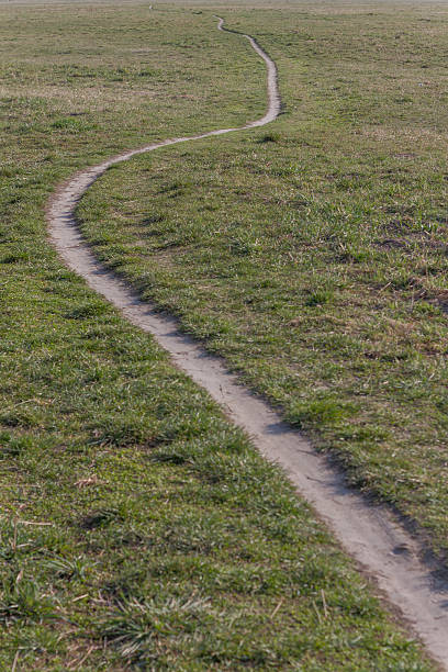 istock Green Landscape and Country Road 467624362