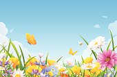 istock Summer Flowers On A Meadow 467624418
