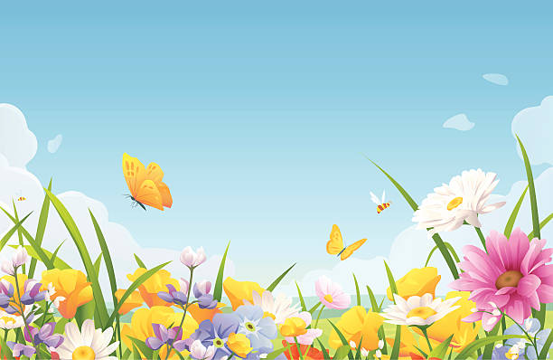 Summer Flowers On A Meadow Illustration of meadow full of beautiful flowers, bees and butterflies in spring or summer. In the background is a landscape with hills and a bright blue sky with clouds. Vector illustration with space for text. EPS 10, grouped and labeled in layers. flower background stock illustrations
