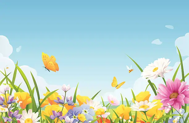 Vector illustration of Summer Flowers On A Meadow
