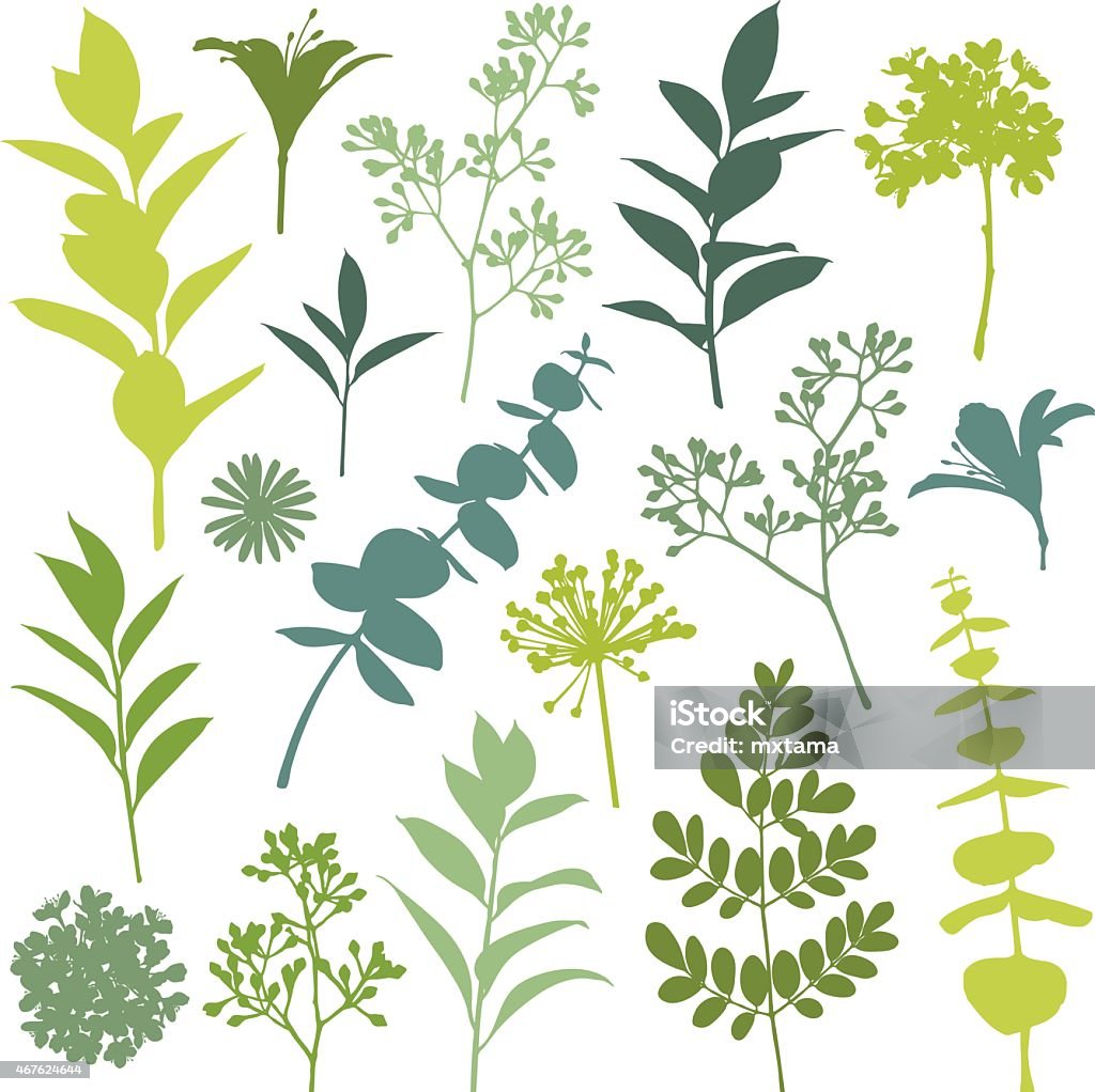 Set of Flower and Leaf Silhouette Design Elements Set of flower and leaf silhouette design elements. Hi res jpeg included. Scroll down to see more of my illustrations linked below. In Silhouette stock vector