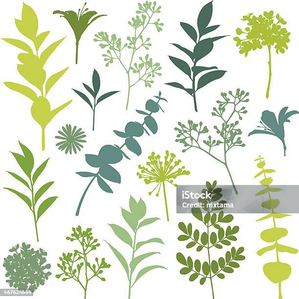 Set Of Flower And Leaf Silhouette Design Elements Stock Illustration - Download Image Now - In Silhouette, Plant, Eucalyptus Tree