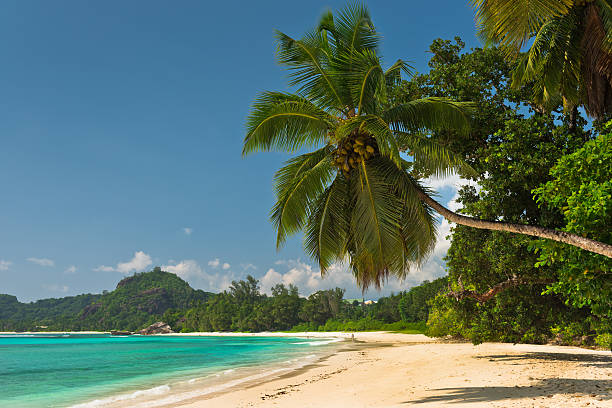 istock Tropical beach at Mahe island Seychelles 467624670