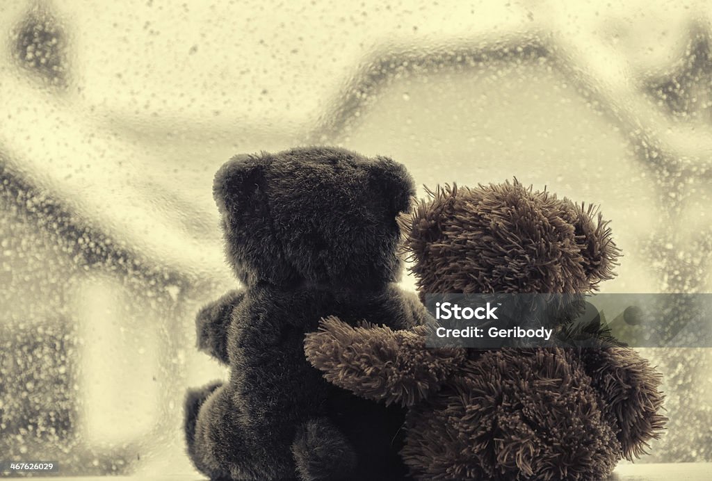 Bears in love's embrace, sitting front of a window Bears in love's embrace, sitting in front of a window Animal Stock Photo