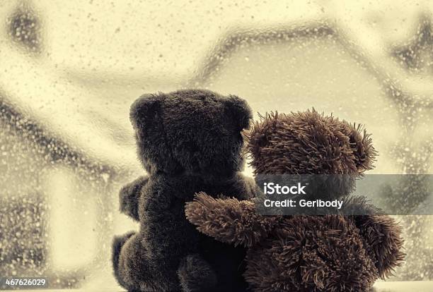 Bears In Loves Embrace Sitting Front Of A Window Stock Photo - Download Image Now - Animal, Bear, Brown