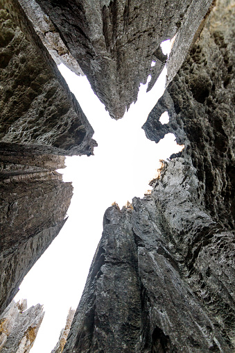 Skyward view on the unique limestone landscape at the Tsingy de Bemaraha Strict Nature Reserve in Madagascar