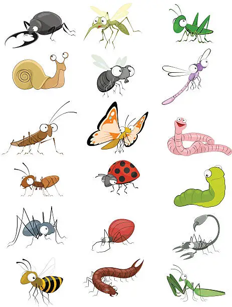 Vector illustration of Icons insects set