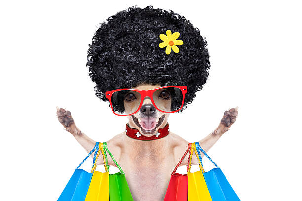 istock dog on sale 467629368