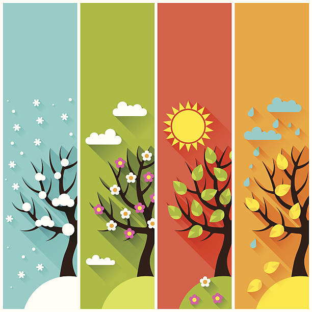 Vertical banners with winter, spring, summer, autumn trees. Vertical banners with winter, spring, summer, autumn trees. fall weather stock illustrations