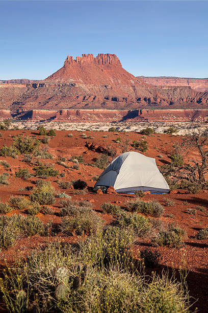 istock Tent in the Back Country 467633906
