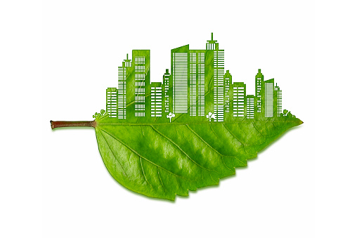 Top half of a green and fresh leaf is carved as the silhouette of a big city which is isolated on a white background. Carved part is showing a metropolis view with lots of high buildings and plazas.