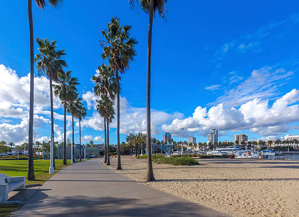 palm tree road à long beach - long beach california lighthouse los angeles county photos et images de collection