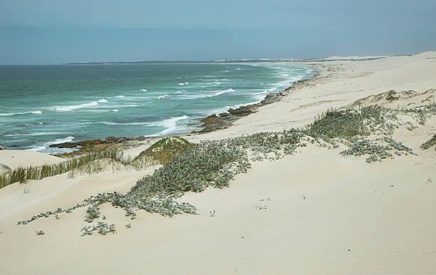 istock Desert dunes in De hoop nature reserve 467635960
