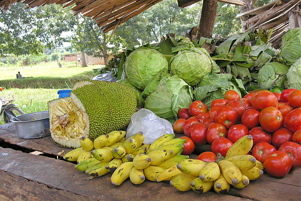 istock Vegetable market stall near Masindi, Uganda. 467638504