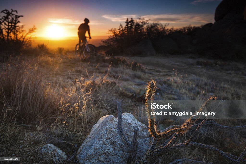 Горный велоспорт закат пейзаж - Стоковые фото Cholla Cactus роялти-фри