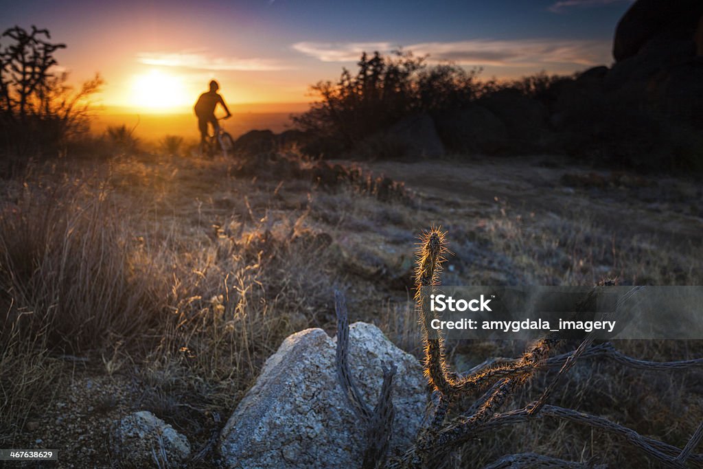 Ciclismo de montaña al atardecer paisaje - Foto de stock de Adulto libre de derechos