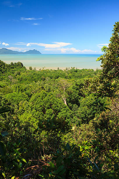 istock Tropical landscape over jungle and hills 467639022