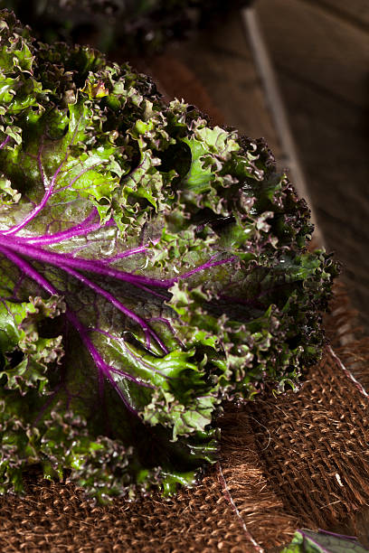 istock Organic Raw Red Kale 467639042