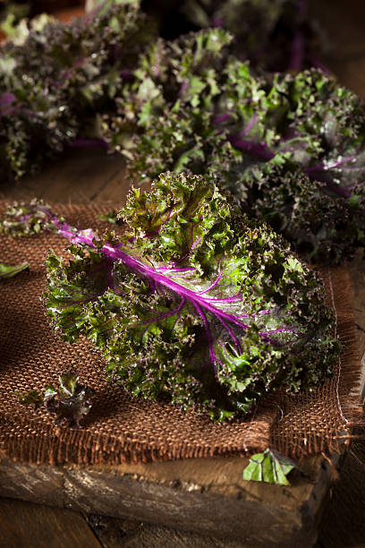 istock Organic Raw Red Kale 467639046