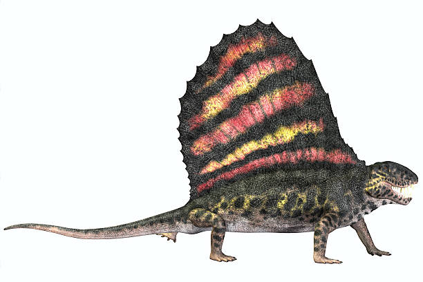 istock Dimetrodon Permian Reptile 467639244