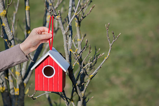 A little red birdhouse hanging in a tree