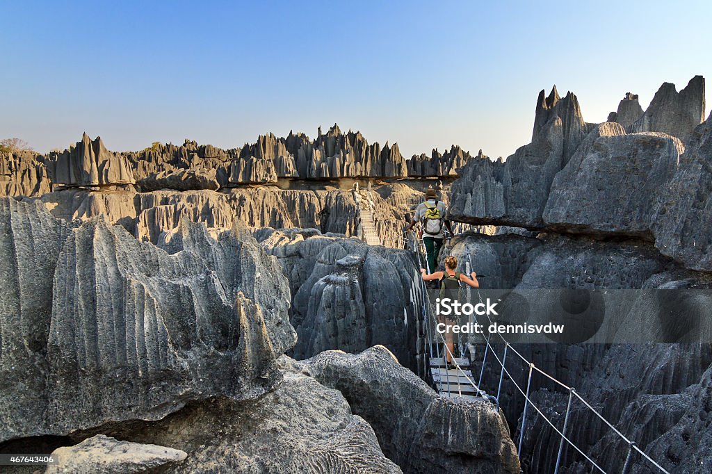 Rope bridge Tsingy Beautiful tourist on an excursion in the unique limestone landscape at the Tsingy de Bemaraha Strict Nature Reserve in Madagascar Madagascar Stock Photo