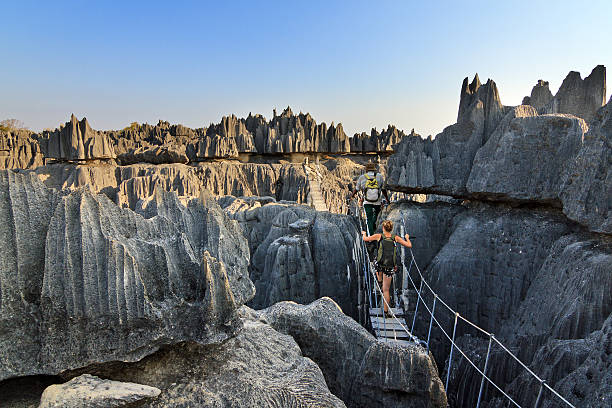 Rope bridge Tsingy Beautiful tourist on an excursion in the unique limestone landscape at the Tsingy de Bemaraha Strict Nature Reserve in Madagascar karst formation photos stock pictures, royalty-free photos & images