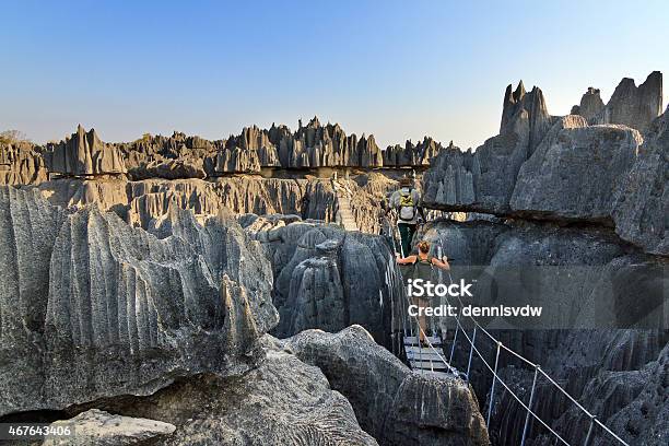 Rope Bridge Tsingy Stock Photo - Download Image Now - Madagascar, Tsingy De Bemaraha National Park, National Park