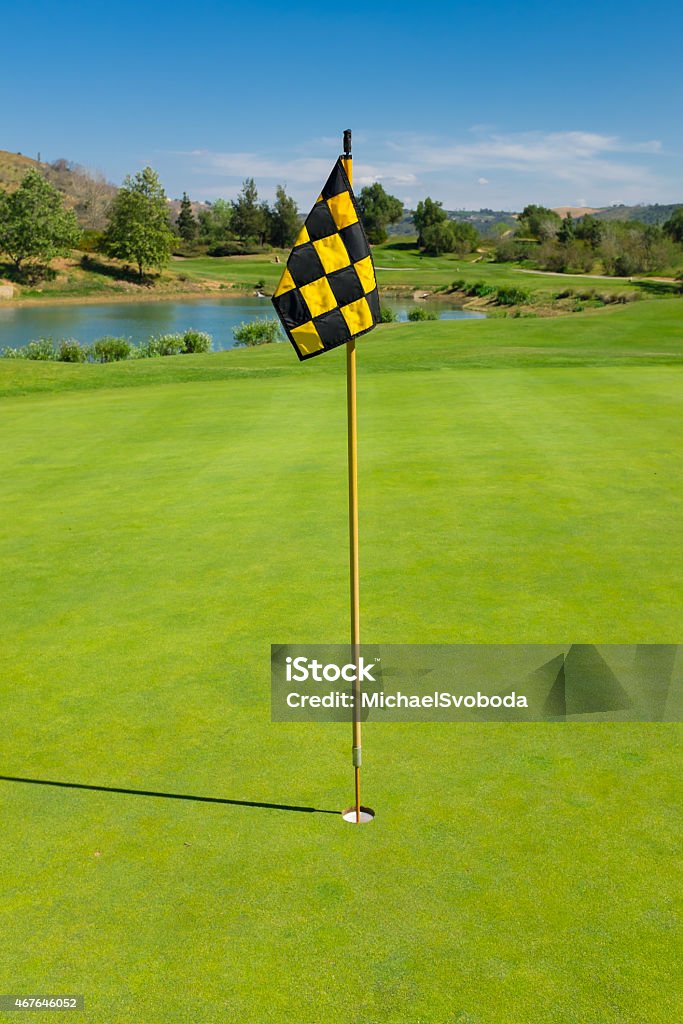 Checkered Flag Stick A checkered flag stick on the golf course. 2015 Stock Photo
