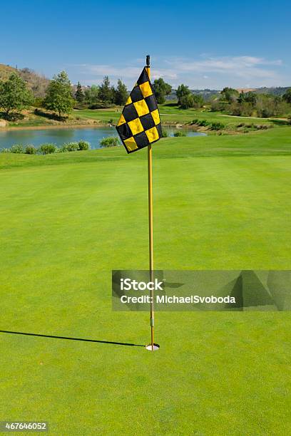 Checkered Flag Stick Stock Photo - Download Image Now - 2015, Activity, Aspirations