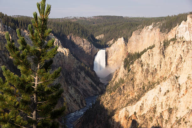 istock Yellowstone National Park, USA 467649476
