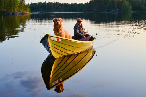 Golden retriever enjoys a boat ride with his master on a beautiful summer evening.