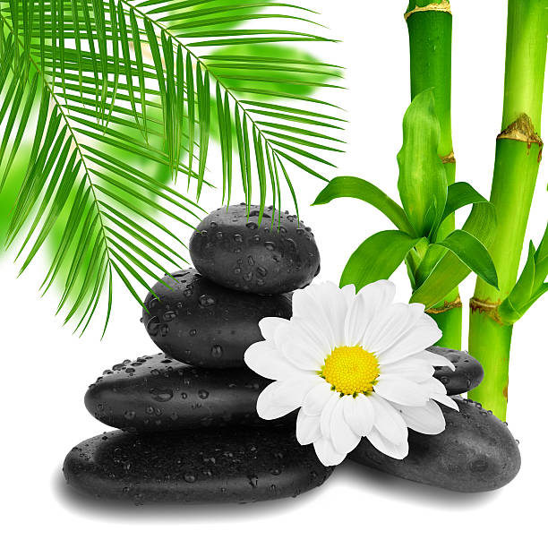 カモミール竹の花の終了 - spa treatment health spa zen like bamboo ストックフォトと画像