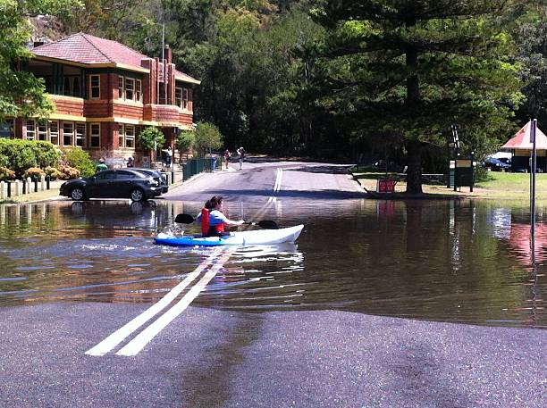Woman (40 years) paddles her kayak across the road in flooded Bobbin Head picnic area after king tide. Bobbin Head, Kuring-gai Chase National Park, North Turramurra, NSW, Australia. January 4, 2014. 
