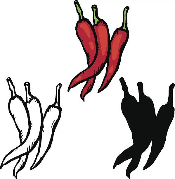 Vector illustration of Set sketch red hot chili peppers