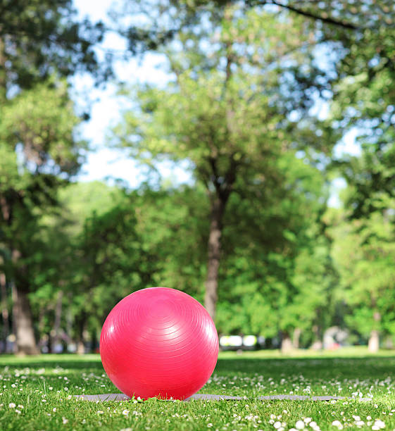 istock Red exercise ball on green grass in a park 467654325