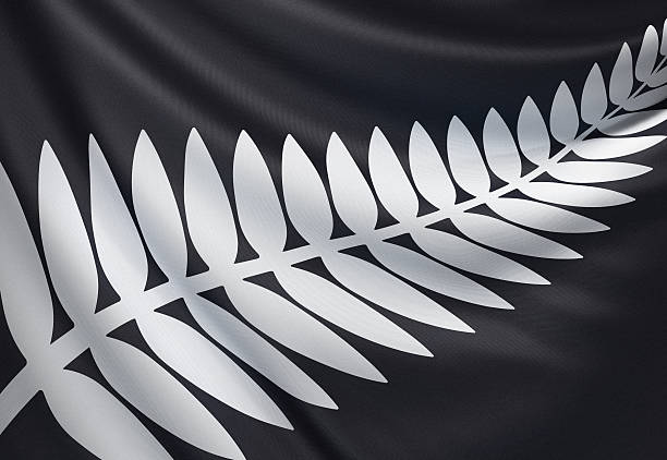 New Zealand silver fern flag New Zealand silver fern flag. Alternative national flag design. fern silver new zealand plant stock pictures, royalty-free photos & images