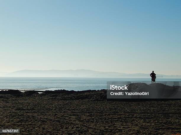 Father And Son Gazing At Sf Bay Stock Photo - Download Image Now - Bay of Water, Beach, Beautiful People