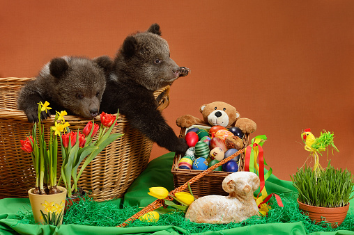 Two bears with symbols of Easter.