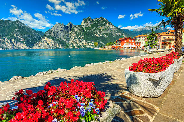 fiori rossi e il lungomare, lago di garda, italia settentrionale, europa - tourist resort lake italy scenics foto e immagini stock