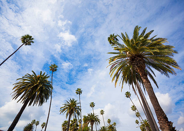 istock Beverly Hills - California 467658727